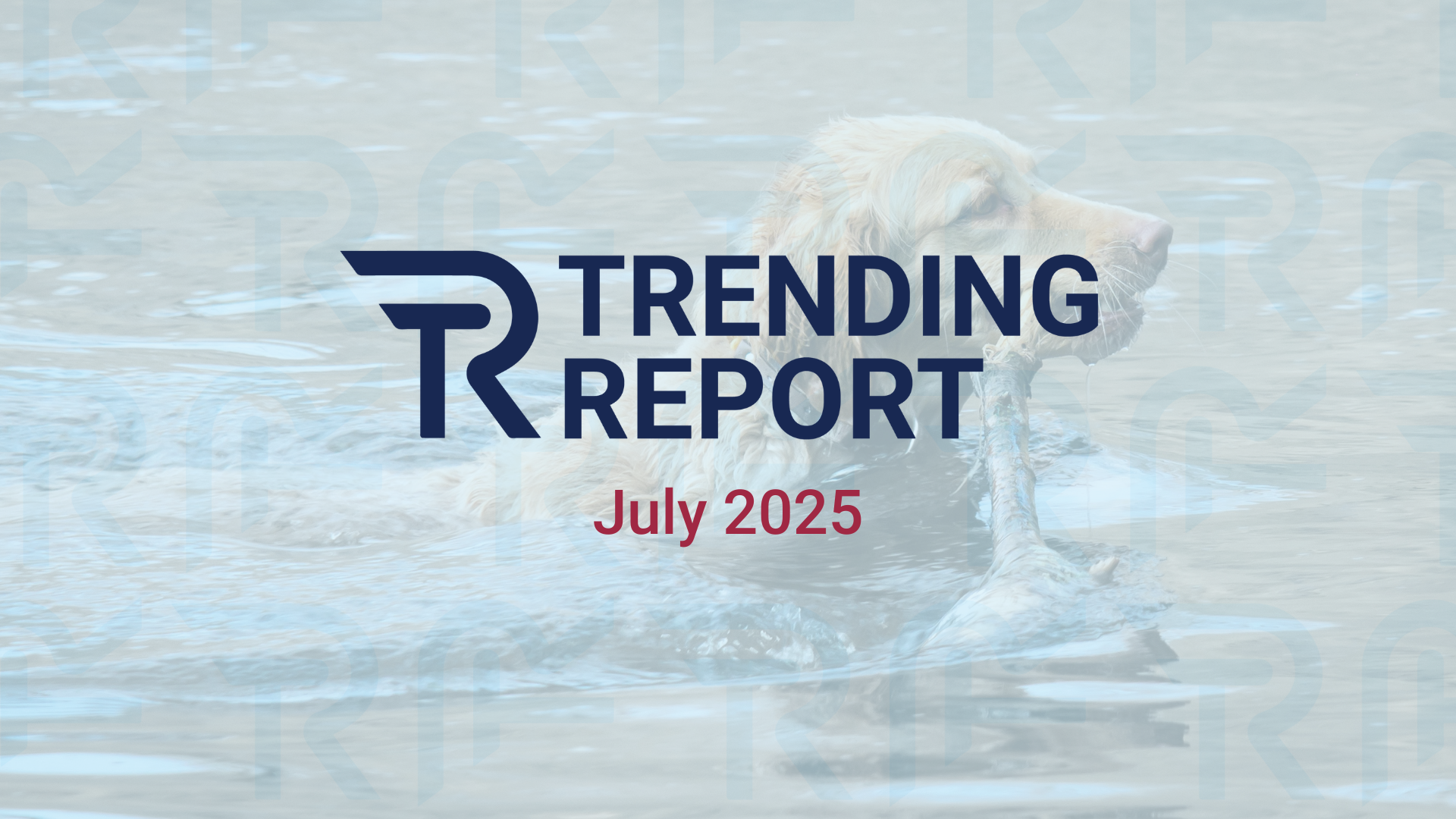From Tariffs to Euphoria – Keeping Your Cool in 2025