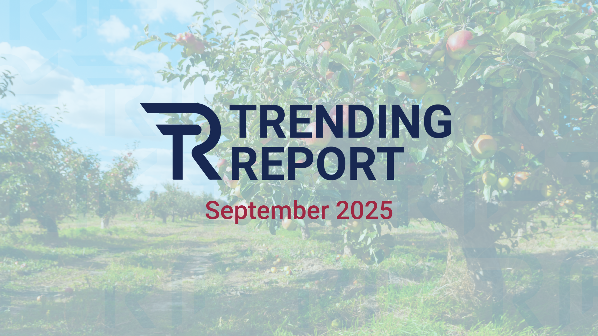 What’s Trending: September Volatility and Long-Term Investing Lessons